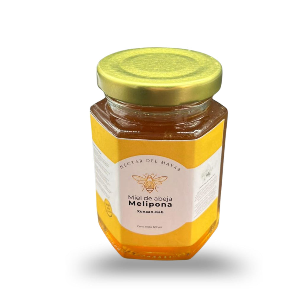 Miel Melipona Virgen de Yucatán (120 ml) | Néctar del Mayab