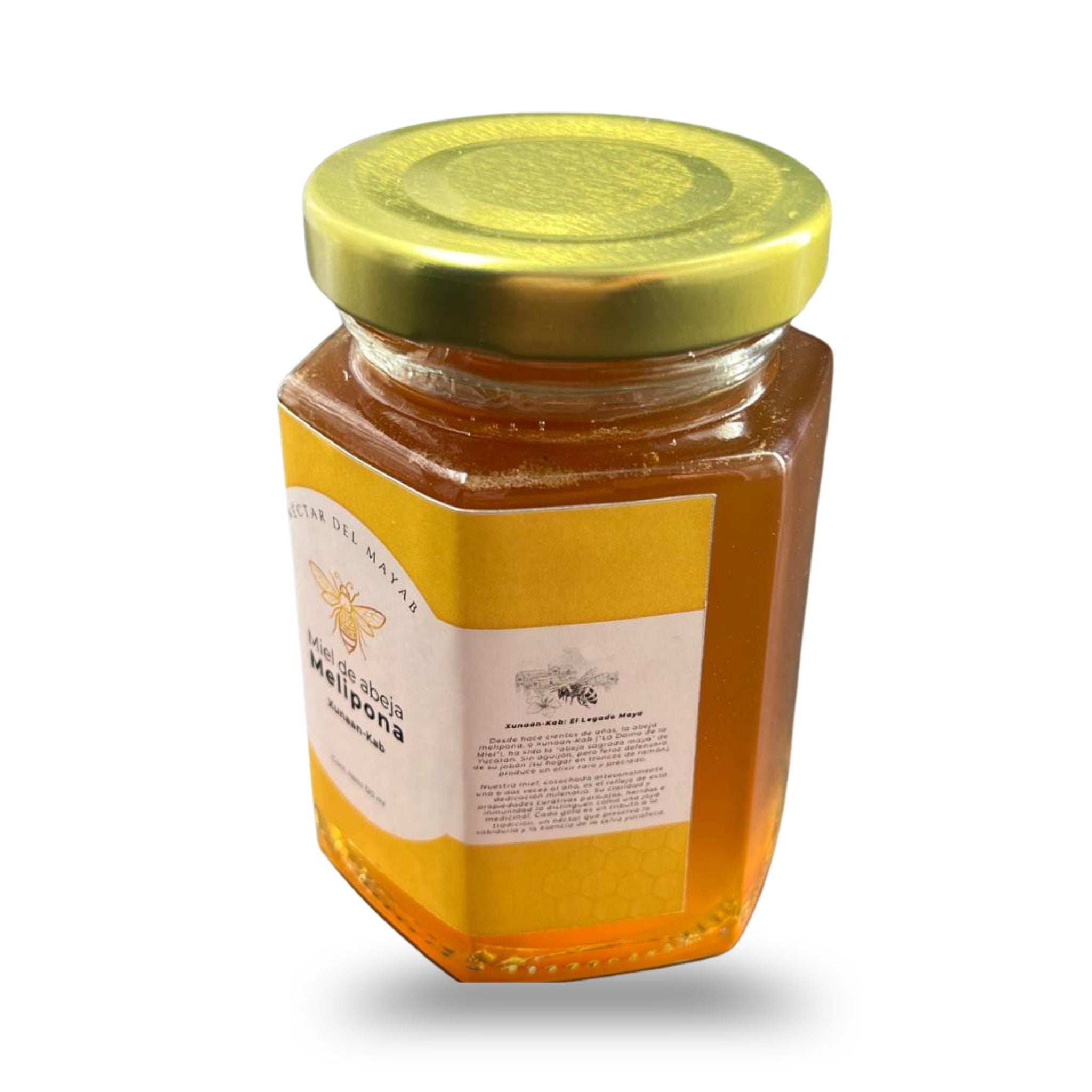 Miel Melipona Virgen de Yucatán (120 ml) | Néctar del Mayab