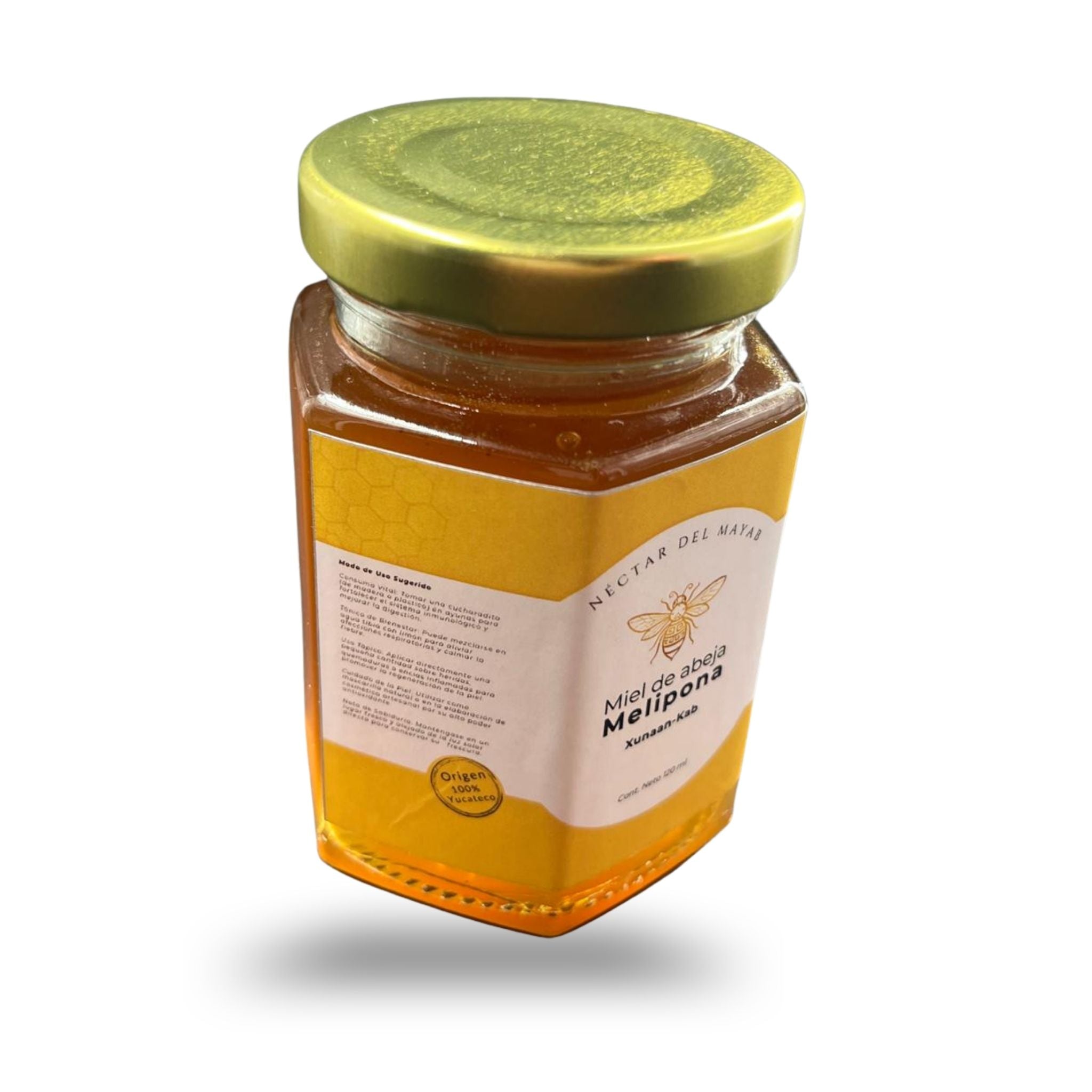 Miel Melipona Virgen de Yucatán (120 ml) | Néctar del Mayab