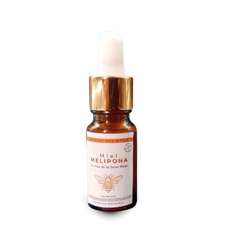 Gotero de Miel Melipona Virgen (10 ml) - Uso Tradicional | Néctar del Mayab