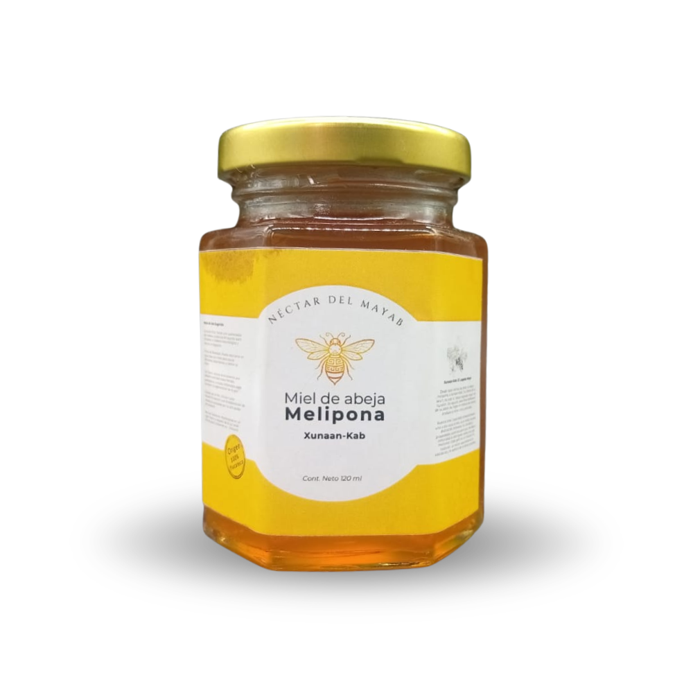 Miel Melipona Virgen de Yucatán (120 ml) | Néctar del Mayab